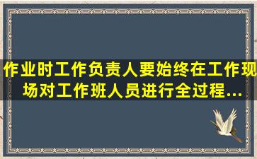 作业时工作负责人、要始终在工作现场对工作班人员进行全过程...