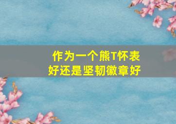 作为一个熊T,怀表好还是坚韧徽章好