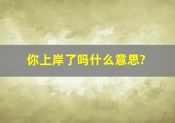 你上岸了吗什么意思?