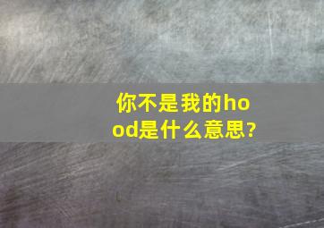 你不是我的hood是什么意思?