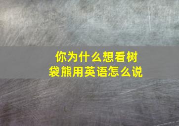 你为什么想看树袋熊(用英语怎么说(