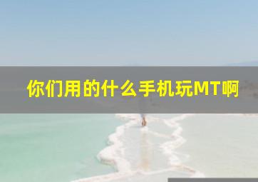 你们用的什么手机玩MT啊