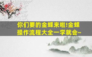 你们要的金蝶来啦!金蝶操作流程大全,一学就会~