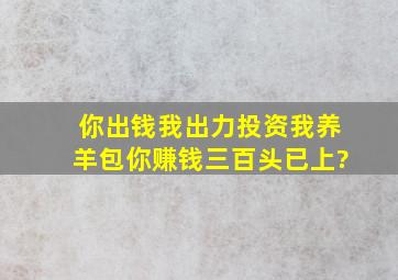 你出钱我出力投资我养羊包你赚钱三百头已上?