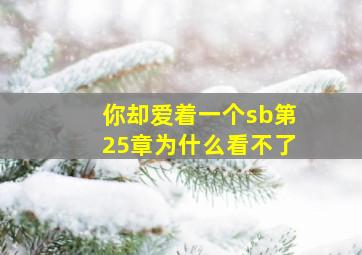 你却爱着一个sb第25章为什么看不了