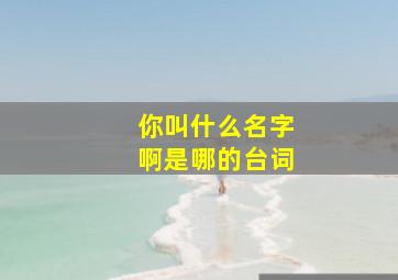 你叫什么名字啊是哪的台词