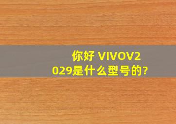 你好 VIVOV2029是什么型号的?