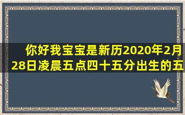 你好,我宝宝是新历2020年2月28日凌晨五点四十五分出生的五行缺什么...