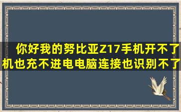 你好,我的努比亚Z17手机开不了机,也充不进电,电脑连接也识别不了...