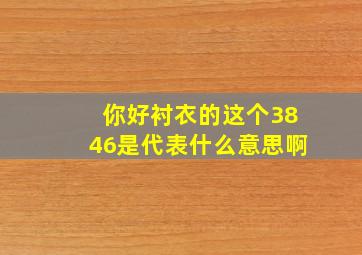 你好,衬衣的这个3846是代表什么意思啊