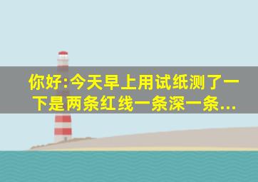 你好:今天早上用试纸测了一下是两条红线,一条深一条...