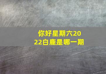 你好星期六2022白鹿是哪一期