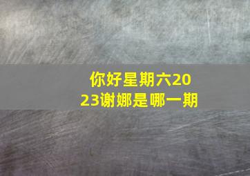 你好星期六2023谢娜是哪一期