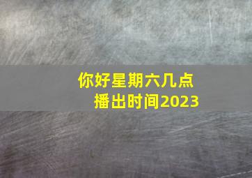 你好星期六几点播出时间2023