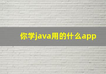 你学java用的什么app