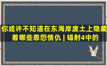 你或许不知道,在东海岸废土上隐藏着哪些恩怨情仇 | 辐射4中的细节与...