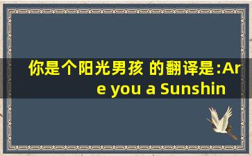 你是个阳光男孩 的翻译是:Are you a Sunshine Boy 中文翻译英文...
