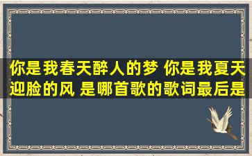 你是我春天醉人的梦 你是我夏天迎脸的风 是哪首歌的歌词(最后是 今生...