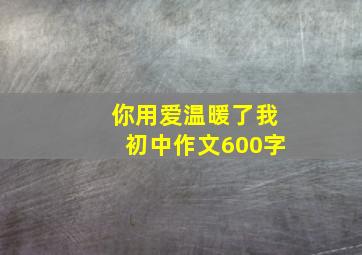 你用爱温暖了我初中作文600字