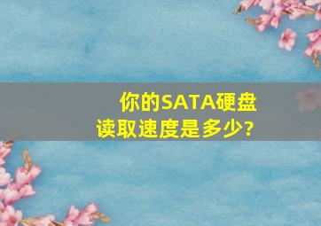 你的SATA硬盘读取速度是多少?