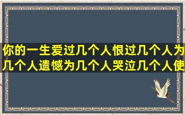 你的一生爱过几个人,恨过几个人,为几个人遗憾,为几个人哭泣,几个人使...