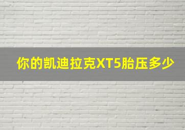 你的凯迪拉克XT5胎压多少