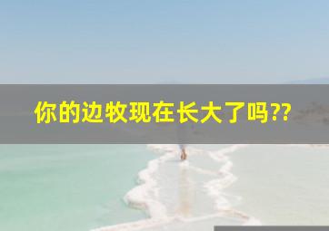 你的边牧现在长大了吗??