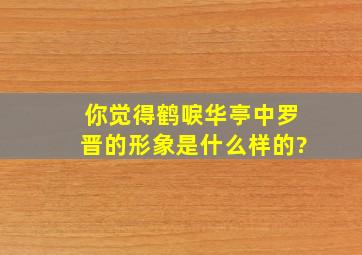 你觉得《鹤唳华亭》中罗晋的形象是什么样的?