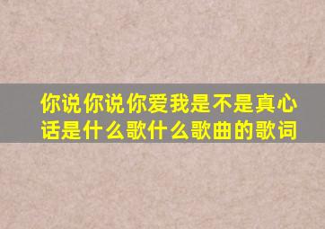 你说你说你爱我是不是真心话是什么歌,什么歌曲的歌词