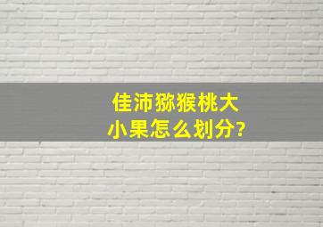 佳沛猕猴桃大小果怎么划分?