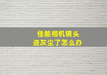 佳能相机镜头进灰尘了怎么办