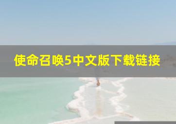 使命召唤5中文版下载链接