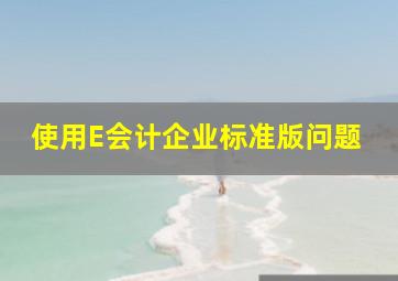 使用E会计企业标准版问题