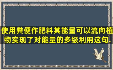 使用粪便作肥料,其能量可以流向植物,实现了对能量的多级利用。这句...