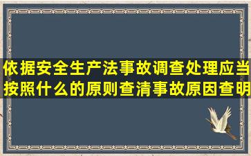 依据安全生产法事故调查处理应当按照什么的原则查清事故原因查明