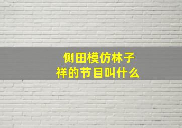 侧田模仿林子祥的节目叫什么