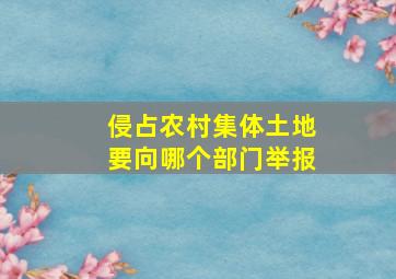 侵占农村集体土地要向哪个部门举报