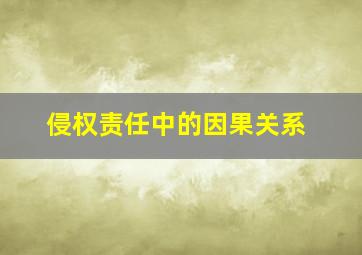 侵权责任中的因果关系