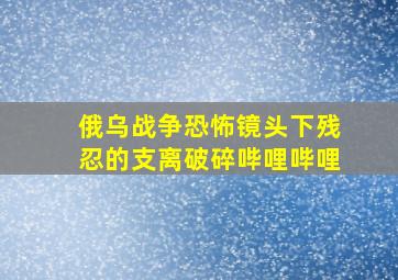 俄乌战争。恐怖镜头下残忍的支离破碎哔哩哔哩