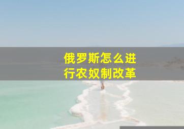 俄罗斯怎么进行农奴制改革