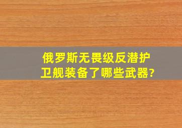 俄罗斯无畏级反潜护卫舰装备了哪些武器?