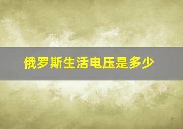 俄罗斯生活电压是多少