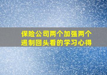 保险公司两个加强两个遏制回头看的学习心得