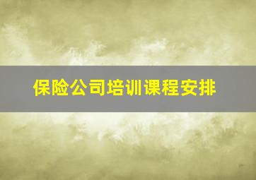 保险公司培训课程安排