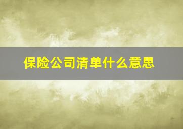 保险公司清单什么意思