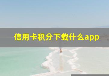 信用卡积分下载什么app