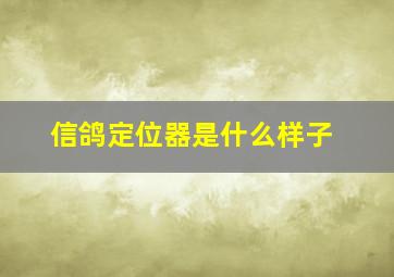 信鸽定位器是什么样子