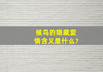 候鸟的隐藏爱情含义是什么?