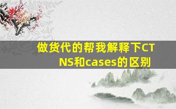 做货代的帮我解释下CTNS和cases的区别