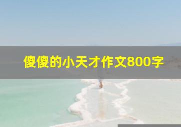 傻傻的小天才作文800字